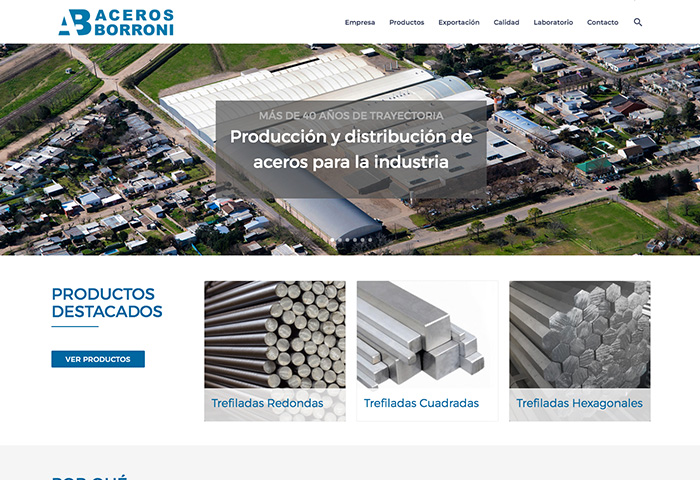 Sitio web de Aceros Borroni